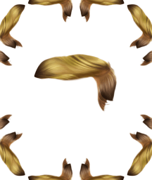 Image: Essay: Arnon Grunberg on Trump