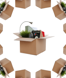 Image: Erika Vlieghe: ‘I’m not here to make politicians look good’