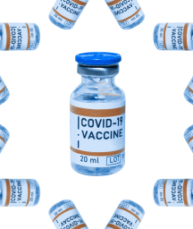 Image: What needs to happen before we get the vaccine?