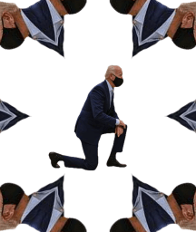 Image: How Joe Biden became president